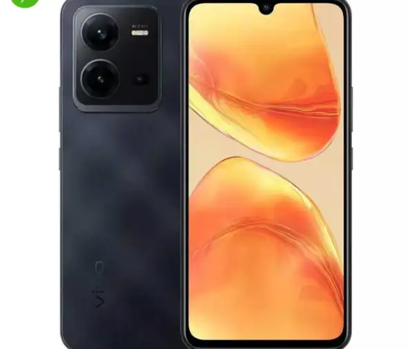 Vivo V25e